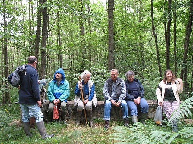 2007 07 Marais du Cerisaie 14